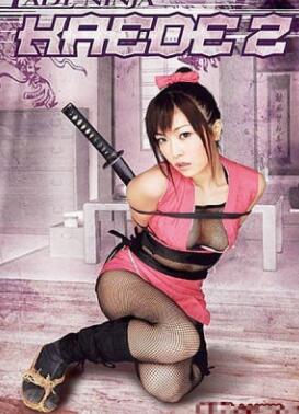忍者女杀手2
