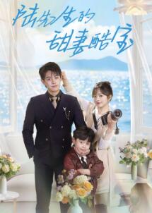 陆先生的甜妻酷宝