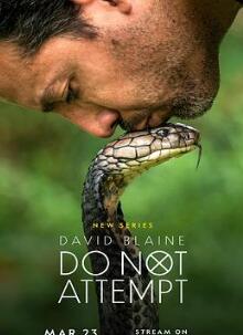 大卫·布雷恩:请勿尝试