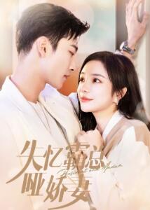 失忆霸总哑娇妻